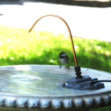 Why Birds Are Not Using Your New Bird Bath