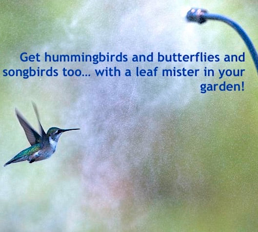 Add a Leaf Mister for Hummingbirds
