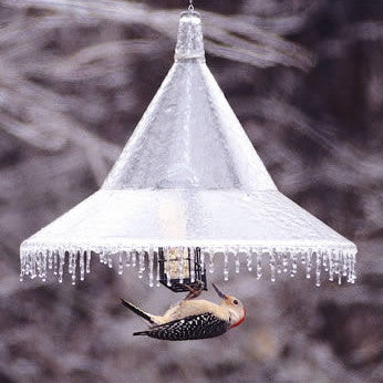 Squirrel Baffles & Weather Guards