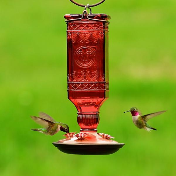 Red hummingbird feeder with two hummingbirds on a green background