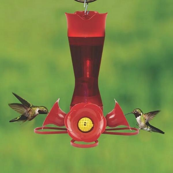 Red hummingbird feeder with two hummingbirds on a green background