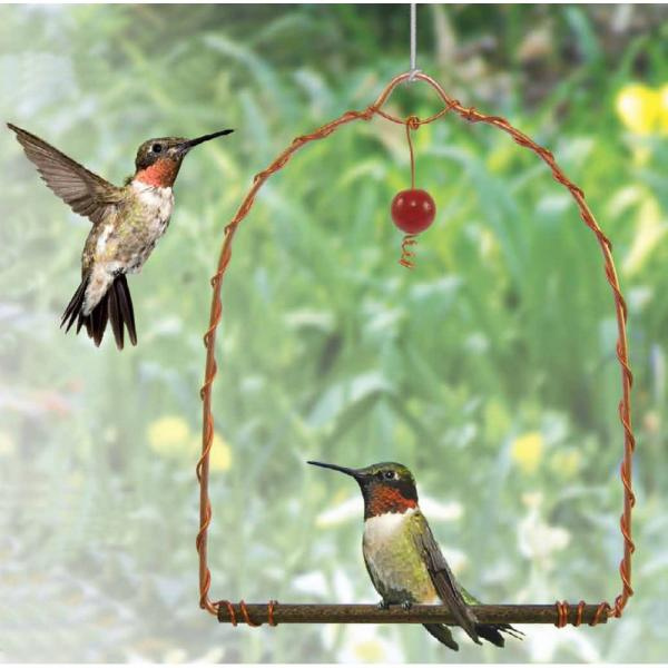 Two hummingbirds interacting with a hanging bird feeder in a garden setting.