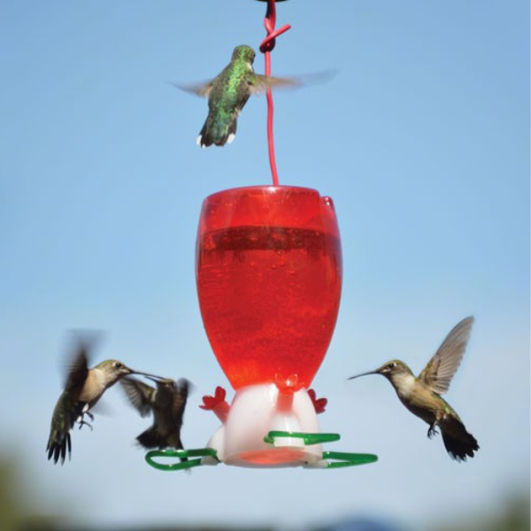 Red hummingbird feeder with multiple hummingbirds around it against a clear blue sky.