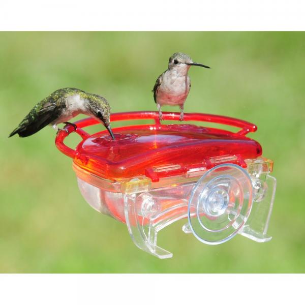 Two hummingbirds at a red and clear hummingbird feeder against a green background