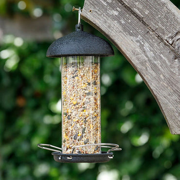 Hopper-style bird feeder and peanut tube set, ideal for birdwatching enthusiasts looking to feed wild birds in their backyard
