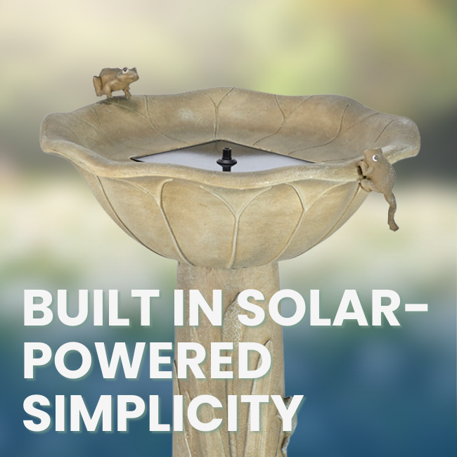 A close-up of the birdbath’s integrated solar panel with small frog decorations, illustrating the simple, wire-free design.