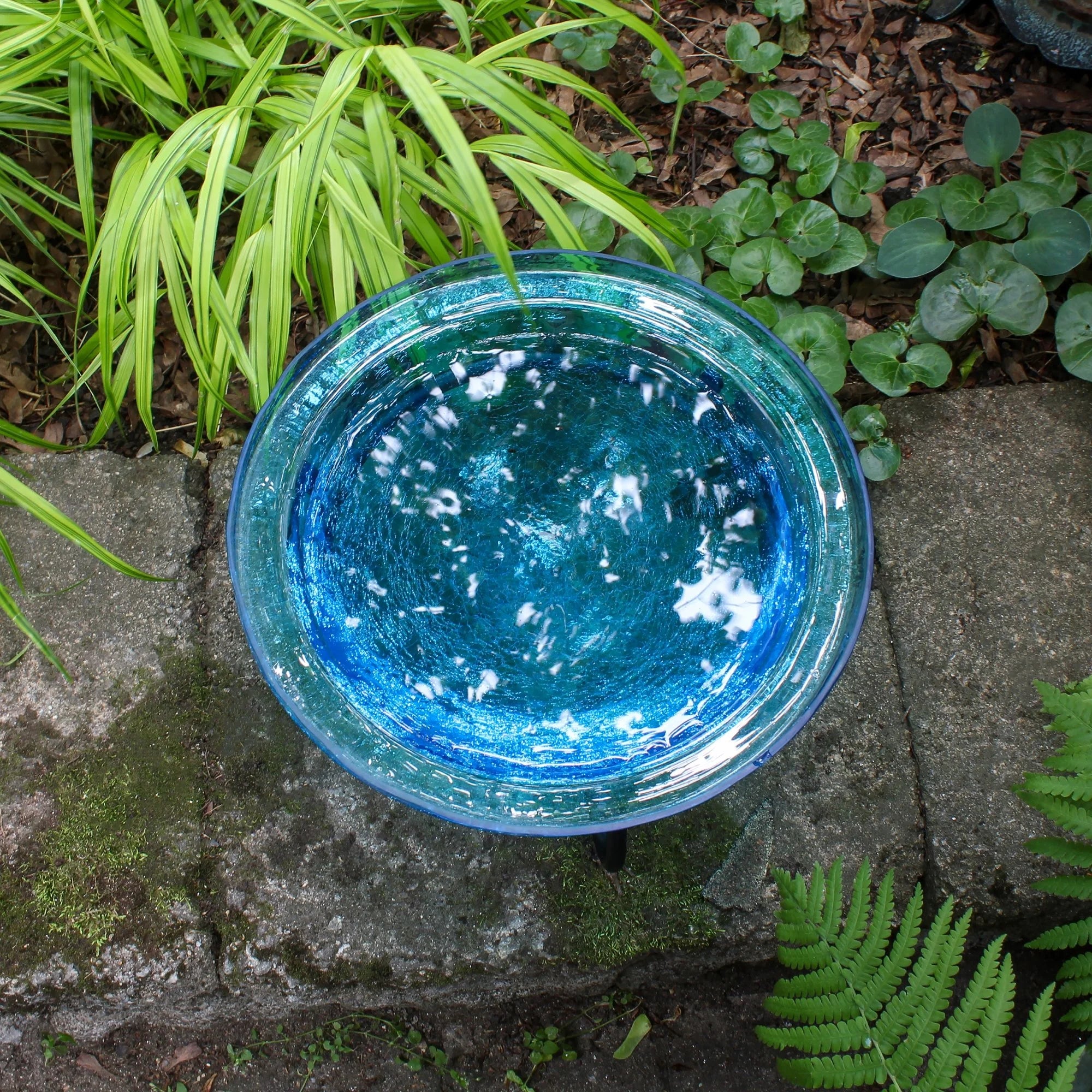 Blue glass bowl on a stone surface with green plants around