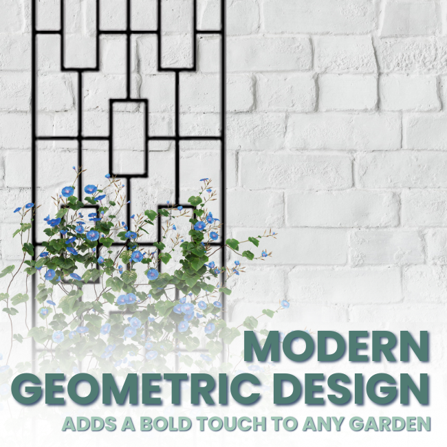 The Contemporary Plant Climber Trellis with a modern geometric design, black finish, and blue flowering vines growing along its frame.