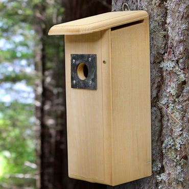 Coveside Flicker House, ideal for birdwatching enthusiasts looking to attract woodpeckers and flickers with a sturdy, natural birdhouse