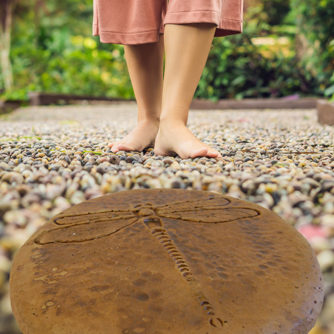 Close-up of a handcrafted dragonfly design on a concrete stepping stone with detailed wings and an autumn wheat color, ideal for garden paths.