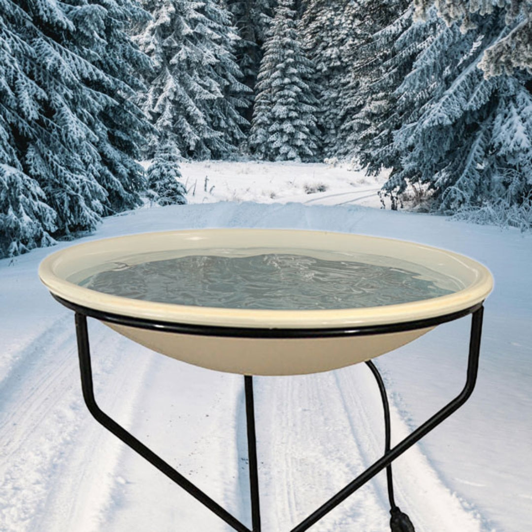 Winter-ready heated bird bath by Allied Precision, featuring a reliable metal stand
