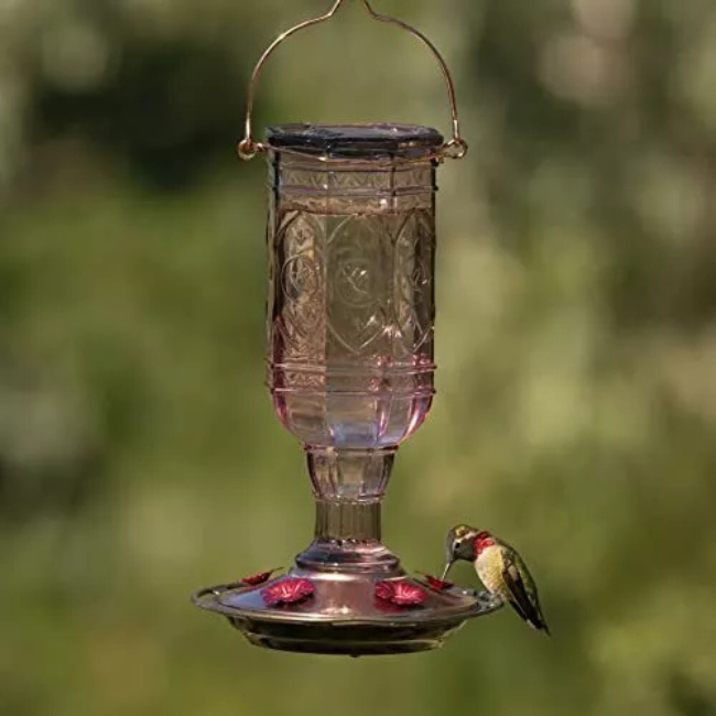 A hummingbird drinking from the Amethyst Jewel feeder, which is suspended and glowing with its vintage amethyst glass and red flower ports.