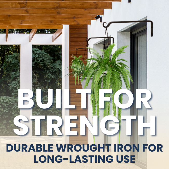 Durable wrought iron wall hook holding a hanging plant, providing support for large items like baskets and lanterns