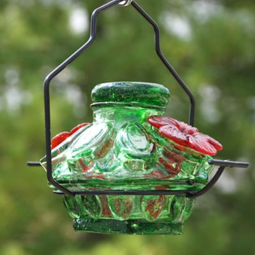 Moon & Stars Hummingbird Feeder with Pot de Creme glass design in green, featuring intricate patterns, two perches, and a 6oz recycled glass reservoir