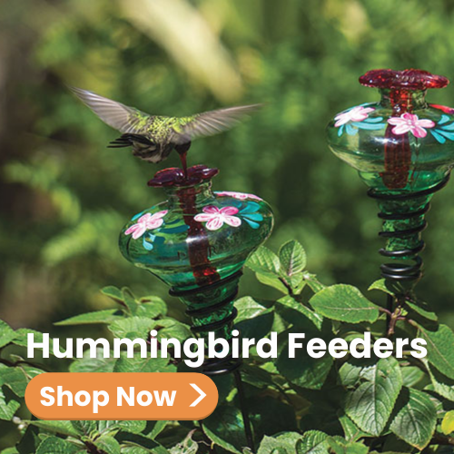 Green Hand Painted Hummingbird Feeders