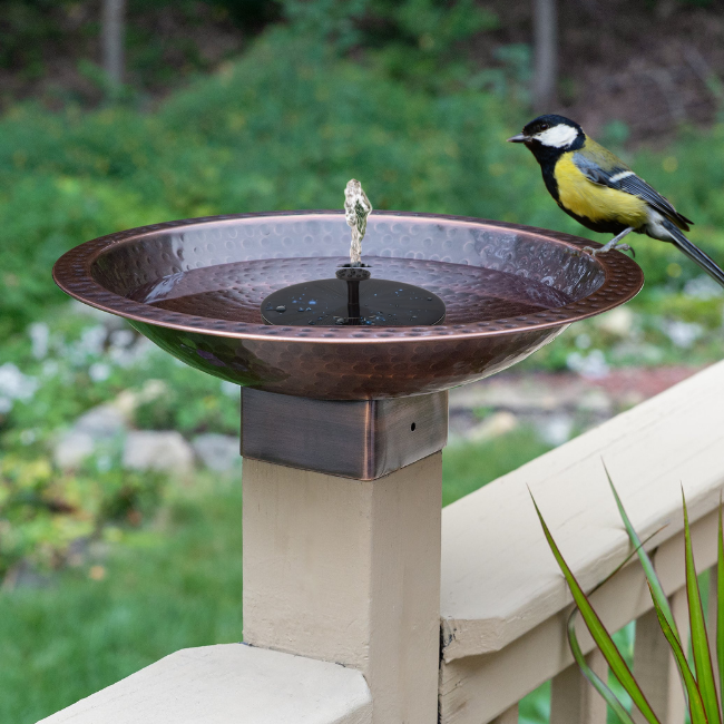 Perch & Ponder Copper Birdbath in a garden, with a bird perched on the rim, creating a peaceful garden retreat