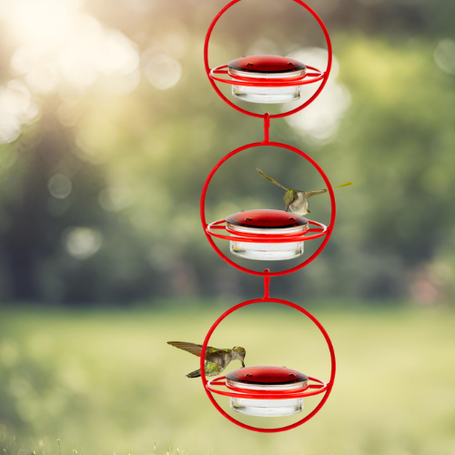 Red Orb Hummingbird Feeder with Perch – Stylish and Functional Bird Feeder for Gardens