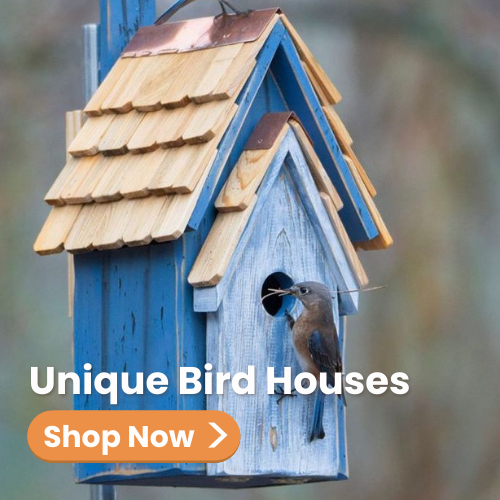 Rustic Blue Bluebird House