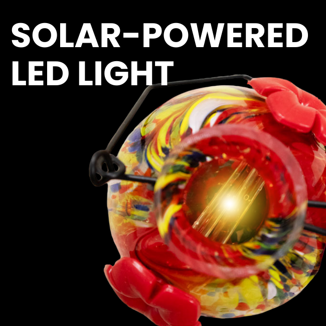 A close-up of the feeder’s solar-powered LED light, which automatically illuminates at dusk for a glowing nighttime display.