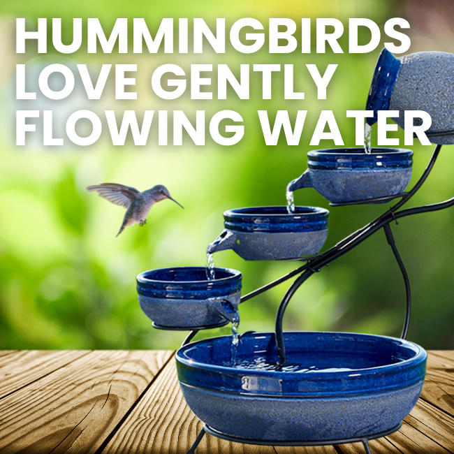 A hummingbird near a cascading solar fountain in a green space, with water flowing between the tiers.