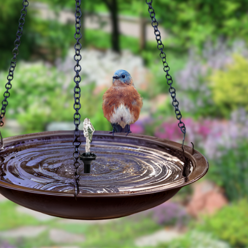 Bird perched on a hanging bird bath with a garden background