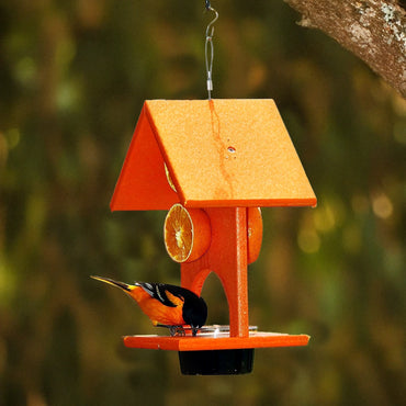 Songbird Essentials Jelly & Fruit Feeder made from recycled plastic, ideal for attracting songbirds