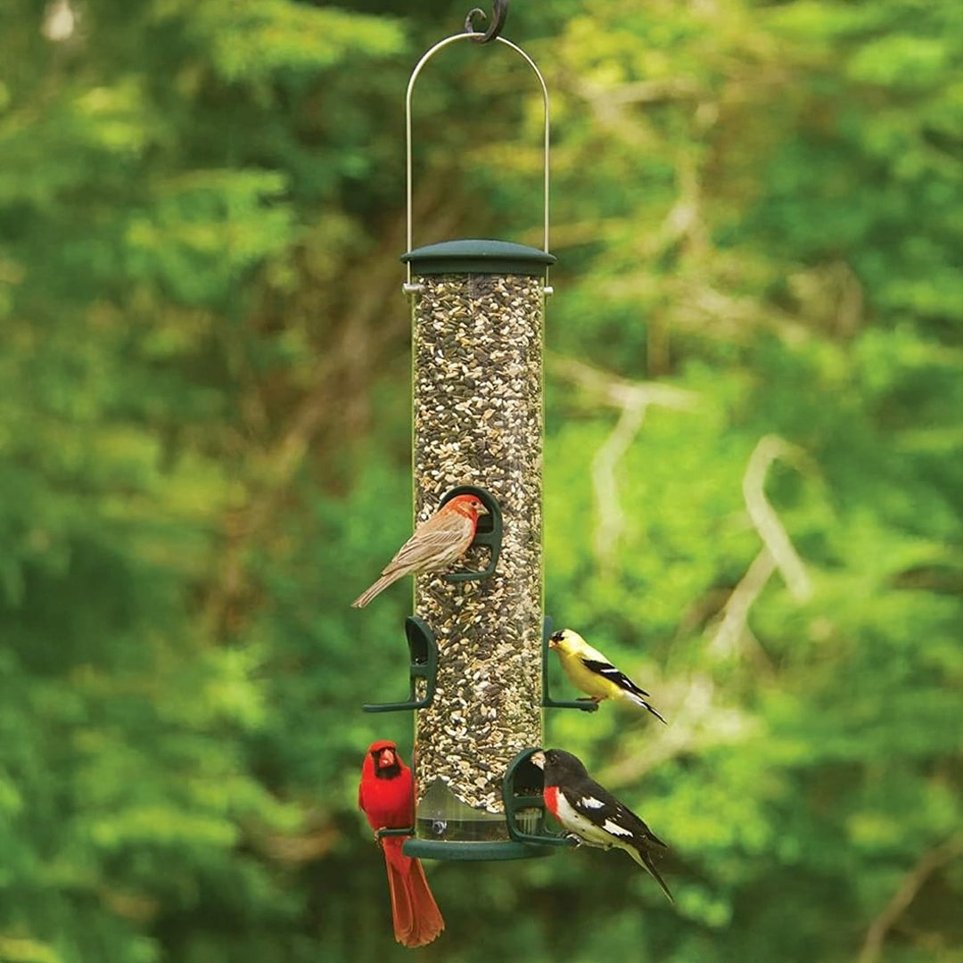 Durable Aspects Big Tube wild bird feeder in spruce, perfect for feeding multiple bird species