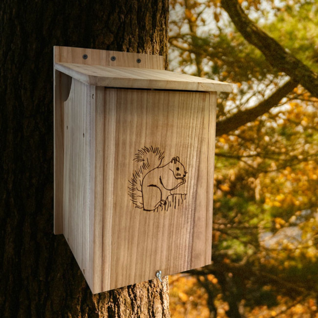 Squirrel House by Prime Retreat – A beautifully crafted wooden shelter designed to provide a cozy home for backyard squirrels
