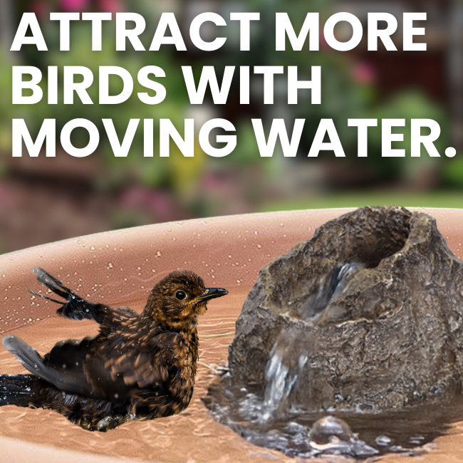 A clear image of the Stonecreek Waterfall Rock placed inside a birdbath, showing how it fits perfectly.