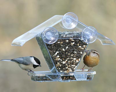 Window Wonderland Bird Feeder