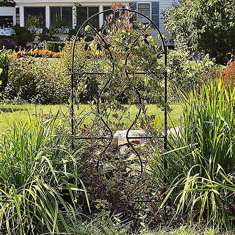 Black wrought iron arch garden trellis with a flowering vine climbing it in a sunny garden bed