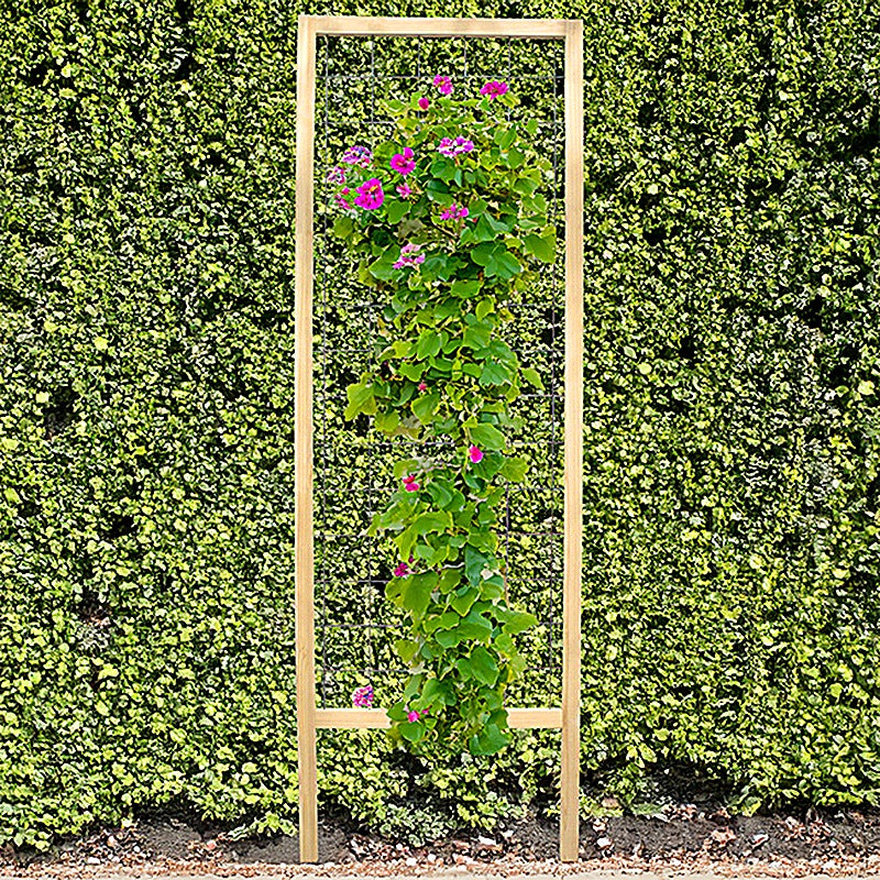 Tall cedar frame wire grid climbing trellis with a flowering vine against a green hedge