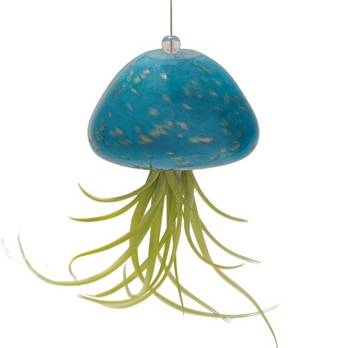 Jellyfish Air Plant Hanger- Teal