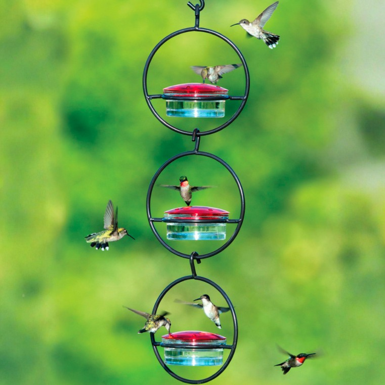 triple orb humming bird hanging feeder, 3 ring tiers connected with a small hook and jars for each tier with 7 hummingbirds flying around and a green blurred background