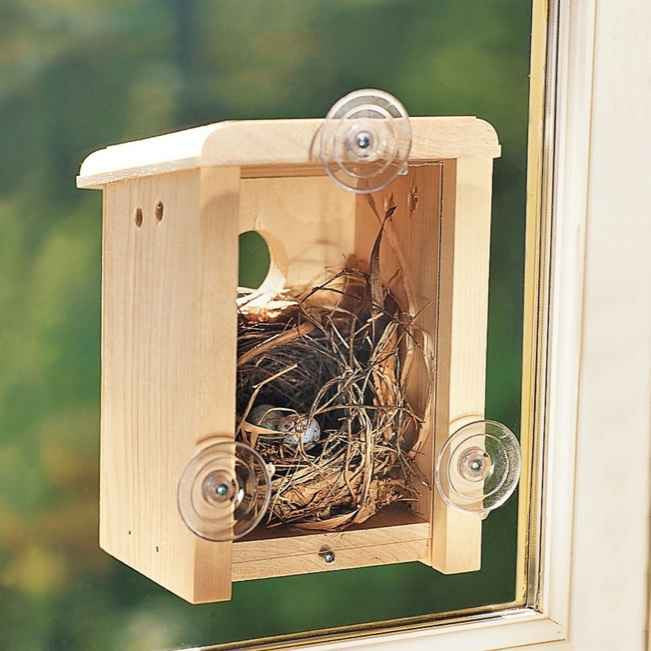 Window View Birdhouse Kit