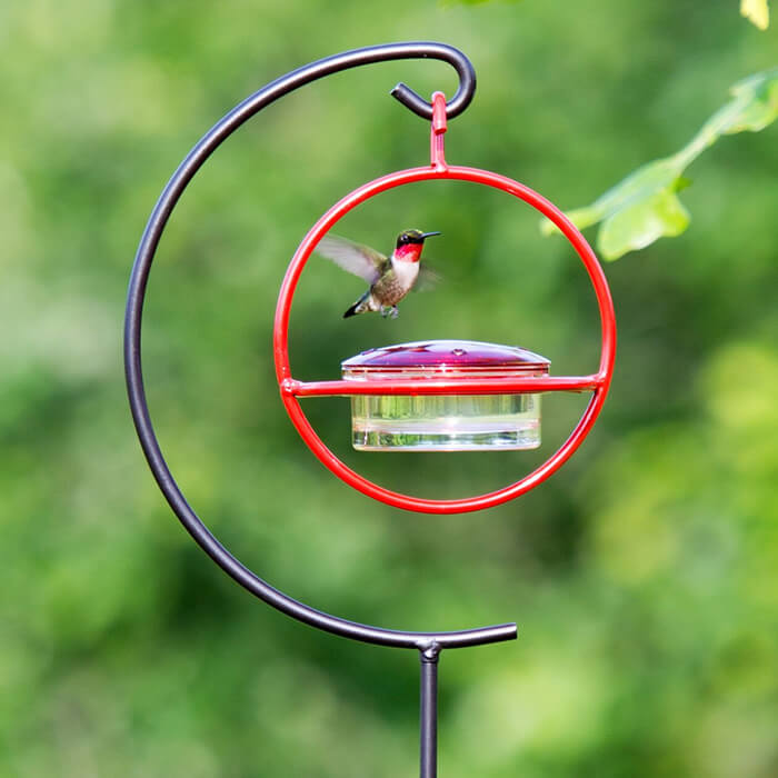 Garden Stake for Hummingbird Feeders