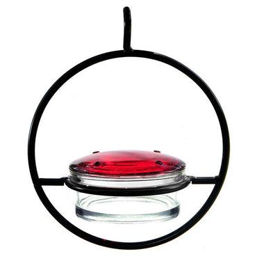 Glass Hummingbird Feeder Detail