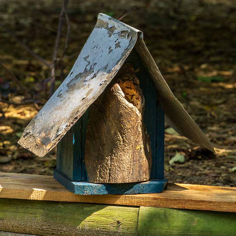 Natural Log Front Birdhouses