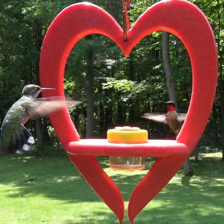 Recycled Heart Hummingbird Feeder