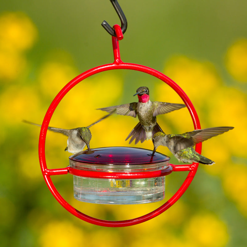 Red Orb with Perch Hummingbird Feeder