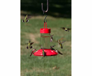 Dr. JB's Clean Hummingbird Feeder & Hummer Helmet