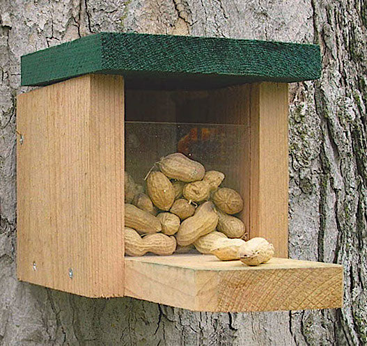 Squirrel Feeder Munch Box