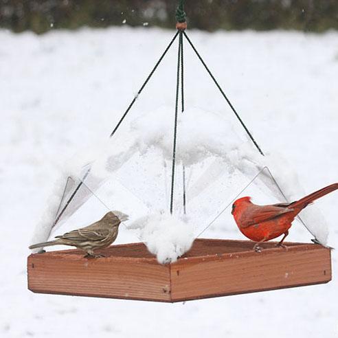 Super Tray with Cover Hanging Bird Feeder