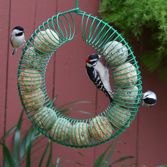 Whole Peanut and Suet Ball Feeder
