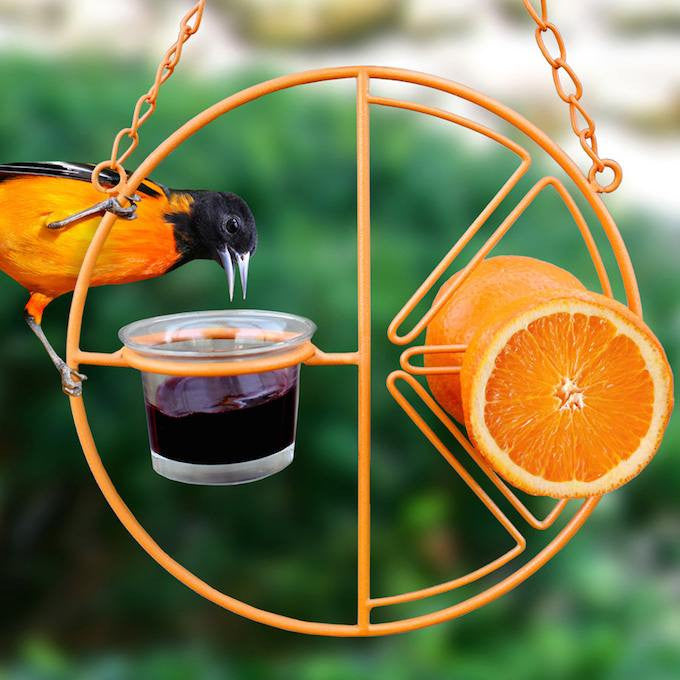 Clementine Oriole Feeder – Vibrant and Functional Feeder for Attracting Orioles