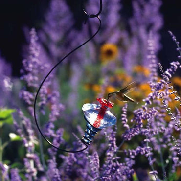Mini-Blossom Glass Hummingbird Feeder-Clear