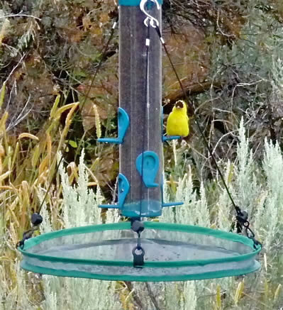 SeedHoop BirdSeed Tray 16-inch