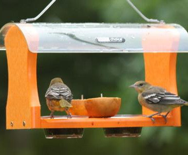 Fruit & Jelly Oriole Feeder by BirdsChoice-Recycled