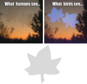 Window Alert Decals - Prevent Bird Strikes at Windows