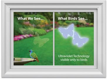 Window Alert Decals - Prevent Bird Strikes at Windows